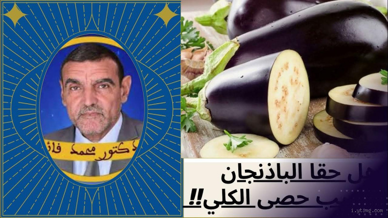 هل الباذنجان يرفع وظائف الكلى؟