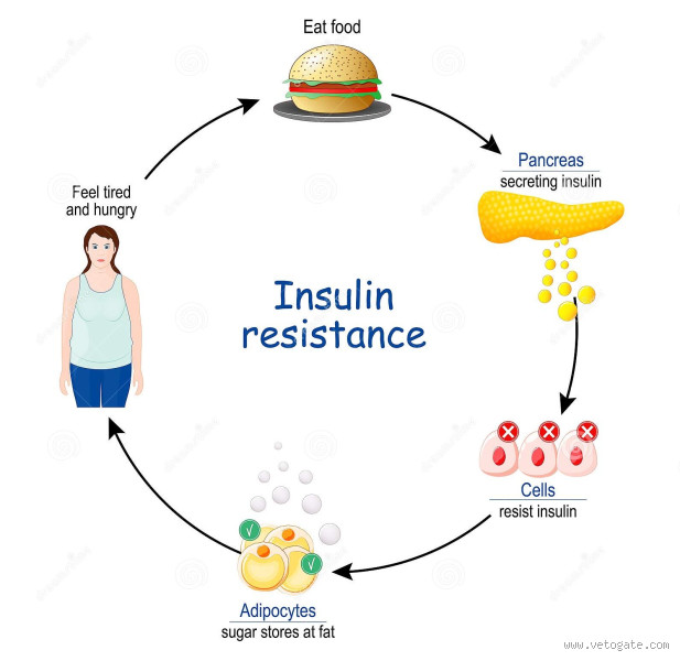 هل الحليب يرفع مقاومة الإنسولين؟ كل ما يجب معرفته