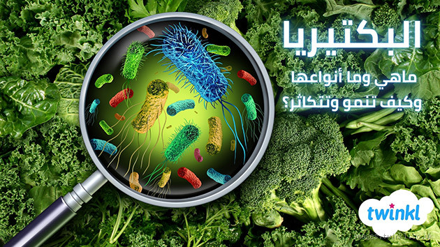 هل الكلور يقضي على البكتيريا؟ تعرف على الإجابة الحاسمة