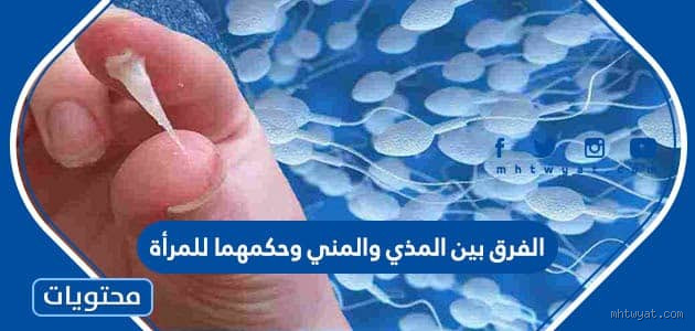 هل المذي عند المرأة له رائحة؟ الحقيقة التي يجب أن تعرفها