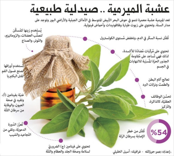 هل الميرمية تنظف المعدة؟ فوائد وأسرار هذه النبتة العطرية