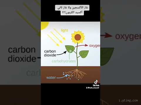 هل النباتات تتنفس الأكسجين؟ الحقيقة التي قد تفاجئك!