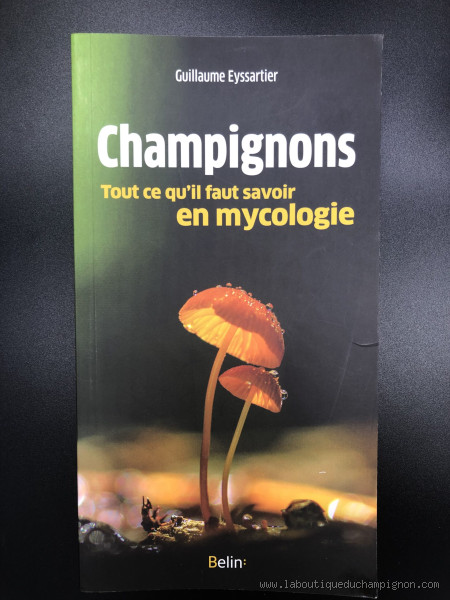 هل الصابون يقضي على الفطريات؟ الحقيقة التي تحتاج إلى معرفتها