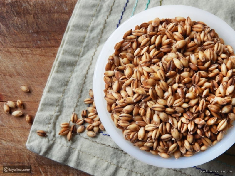 هل الشعير خالي من الكربوهيدرات؟ اكتشف الحقيقة