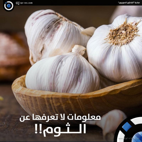 هل الثوم يبعد البعوض؟ اكتشف الحقيقة وراء هذه الفكرة