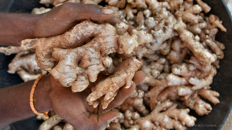 هل الزنجبيل يفتح الشرايين المسدودة؟ حقيقة يجب أن تعرفها