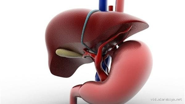 هل يعالج الكبد نفسه؟