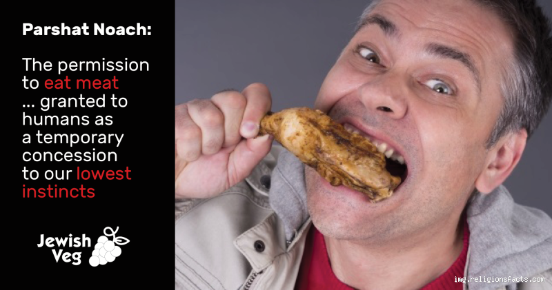 هل يجوز أكل مأكولات اليهود؟ الفتاوى والتوضيحات الدينية