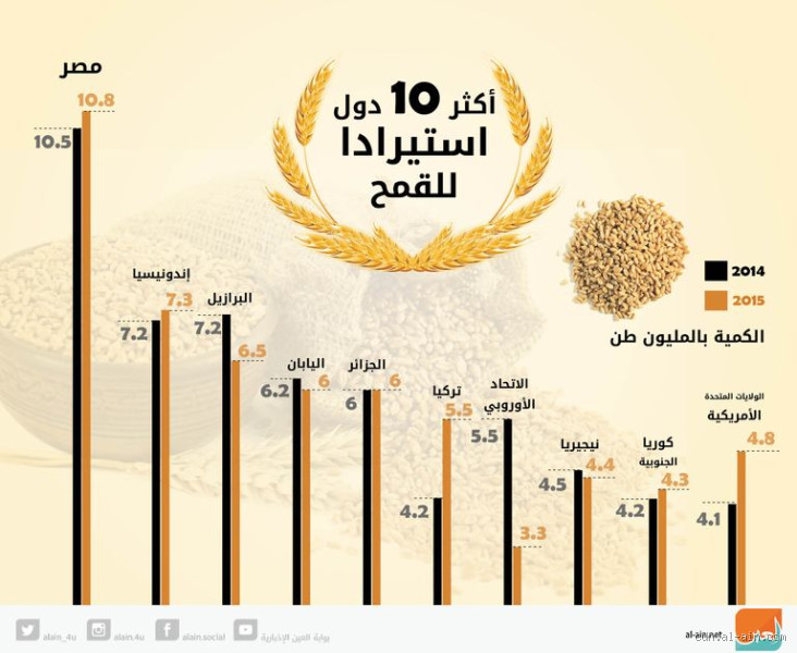 كم تستهلك ليبيا من القمح سنويا؟ تحليل للأرقام والتحديات