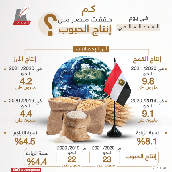 كم تستورد مصر من الحبوب؟ اكتشف الأرقام والتأثيرات الاقتصادية