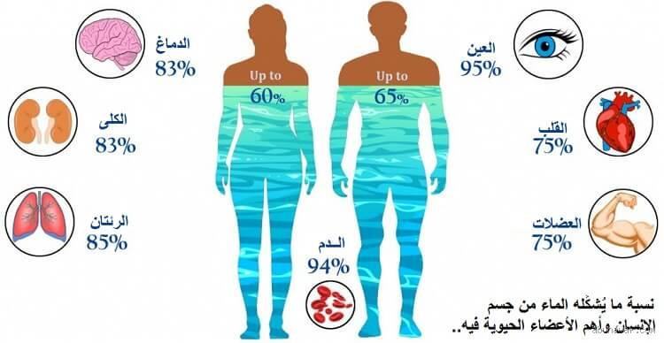 كيف أعرف أن الجسم يحبس الماء؟ تعرف على الأعراض والحلول