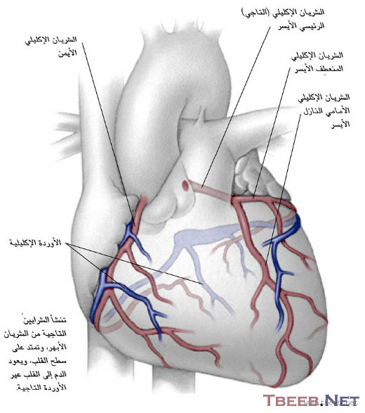كيف أعرف أن شرايين القلب مسدودة؟