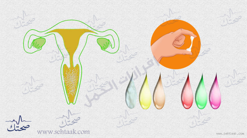 كيف اعرف نوع الافرازات؟ اكتشفي الأجوبة التي تحتاجينها