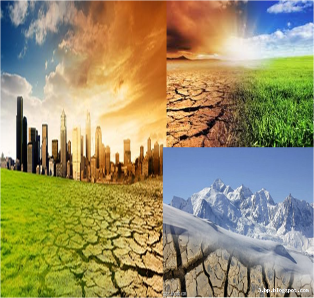 كيف تغيرت البيئة؟ اكتشف التغيرات التي تؤثر على كوكبنا