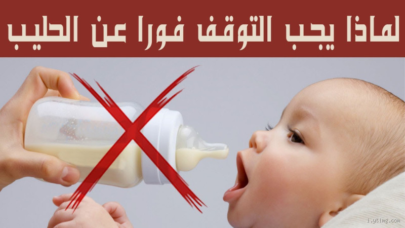 لماذا لا يشرب اليهود اللبن؟