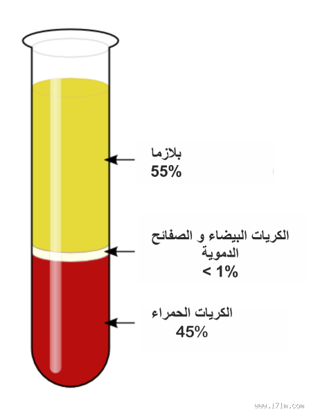 لماذا الدم نجس علميا؟