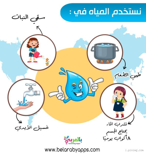 لماذا الفأر لا يشرب الماء؟ كل ما تحتاج معرفته عن هذا السلوك الغريب!