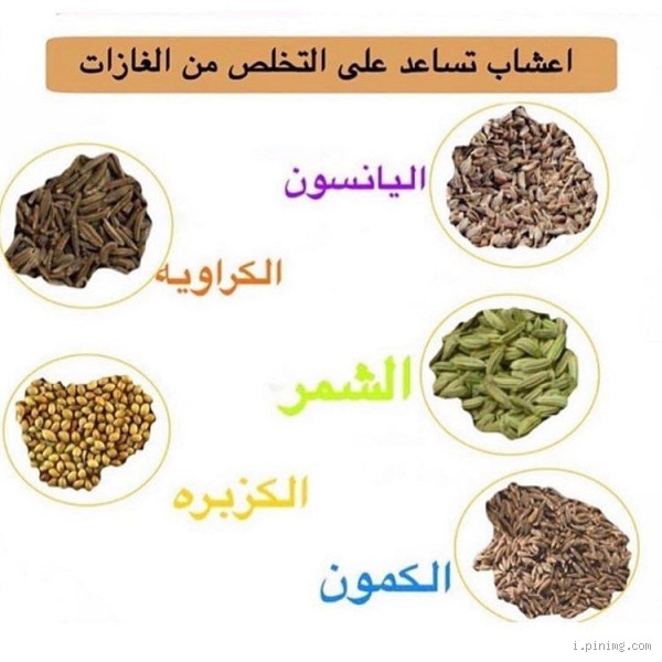 ما هو الفرق بين الكمون واليانسون؟