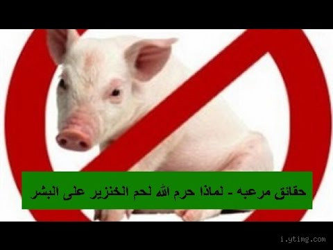 ما هو الحلال في الخنزير؟