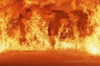 ما هو الزقوم والغسلين والضريع؟