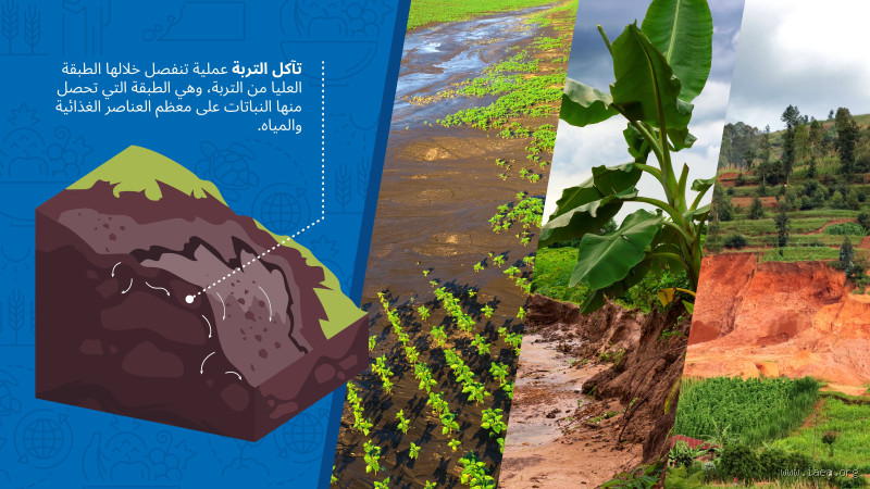 ما هو سبب أكل التربة؟ الأسباب النفسية والطبية