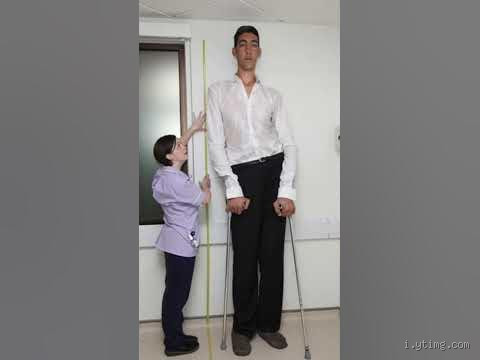 ما هو طول أطول إنسان في العالم؟ اكتشف الرقم المدهش