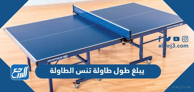 ما هو طول طاولة تنس الطاولة بالأقدام؟ كل ما تحتاج معرفته