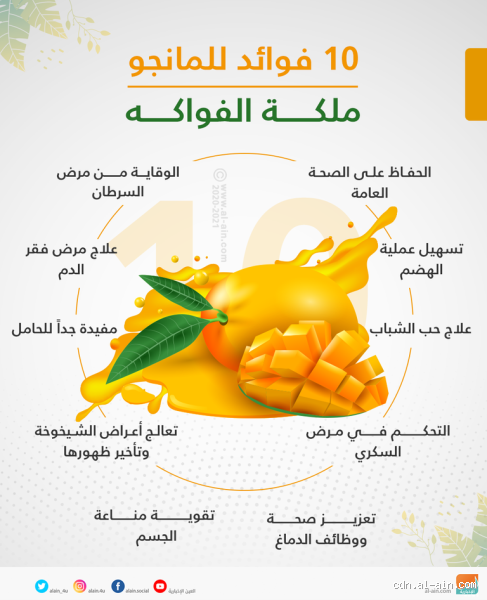 ما هي فوائد فاكهة المانجو؟ اكتشف السحر الطبيعي لهذه الفاكهة!