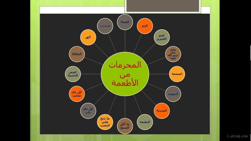 ما هي الأطعمة المحرمة عند اليهود؟ تعرف على التفاصيل