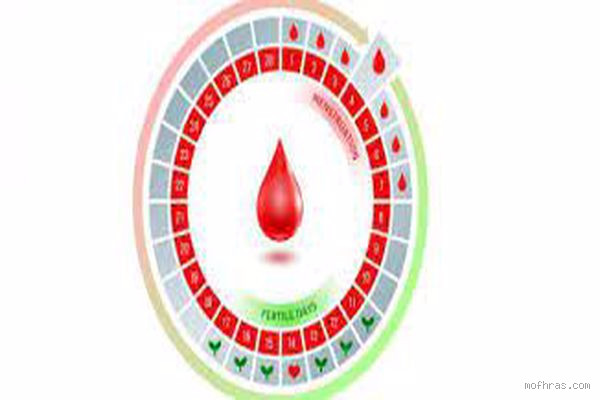 ما هي الأيام التي لا يحدث فيها الحمل بعد الدورة الشهرية؟