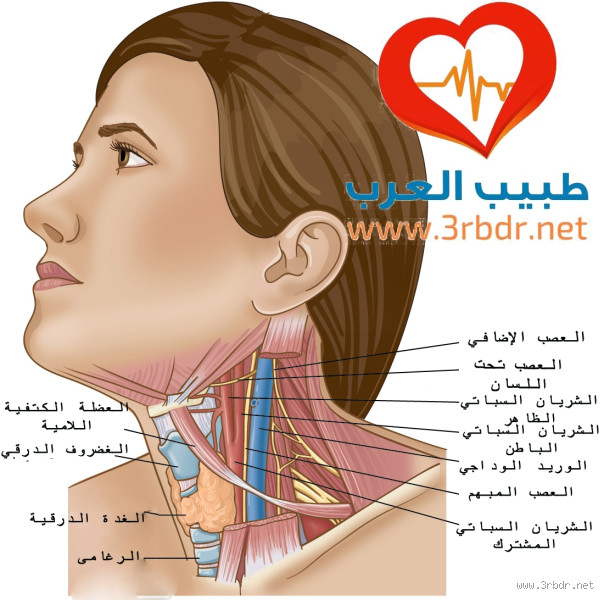 ما هي أسباب خنقة الرقبة وضيق التنفس؟ أسباب وحلول محتملة
