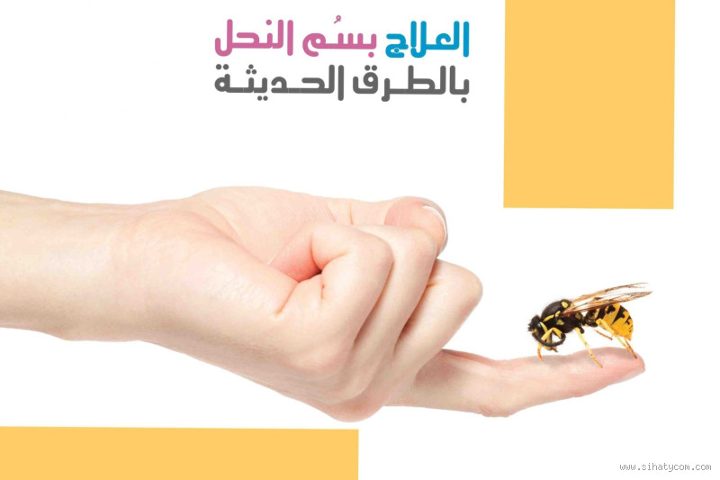 ما معنى العلاج بسم النحل؟ اكتشف فوائده المدهشة!