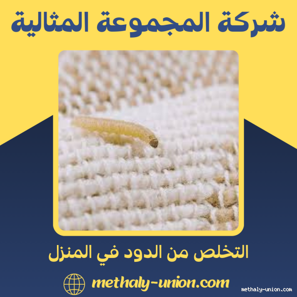 ماذا أفعل إذا أكلت دود بالغلط؟ إليك خطوات التصرف الصحيحة