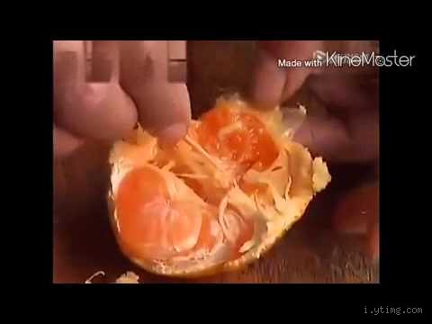 ماذا يحصل إذا أكلت برتقالًا يحتوي على دود؟