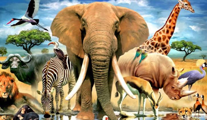 من هو الحيوان الذي ليس له لسان؟ اكتشف المخلوقات العجيبة